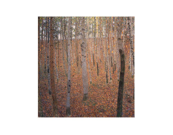 Beech Forest Buchenwald I
