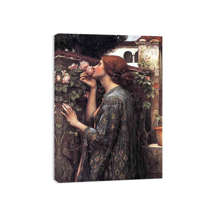 The Soul of the Rose Canvas Print