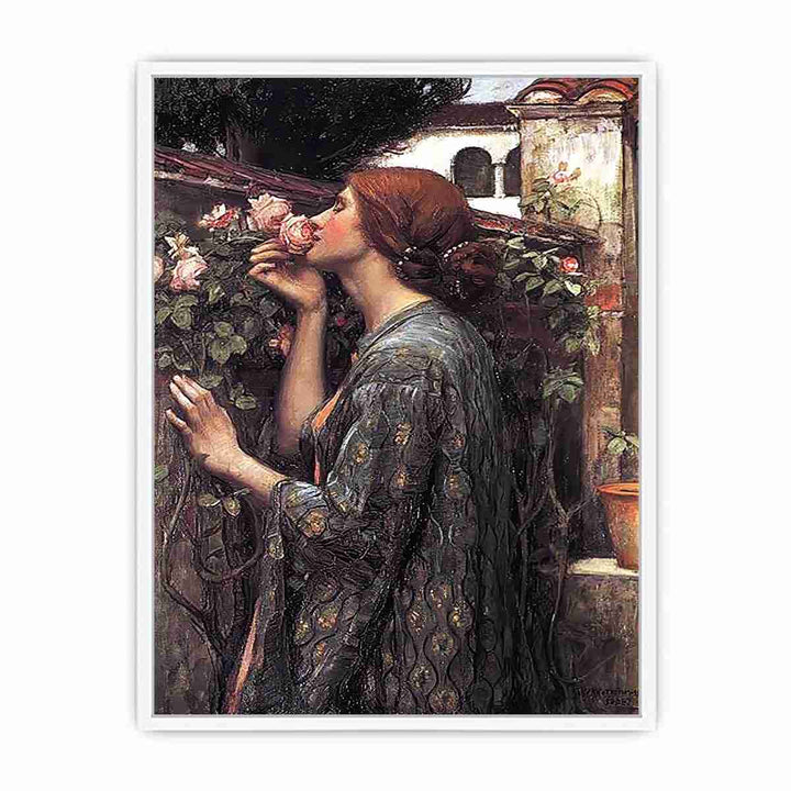 The Soul of the Rose Framed Print