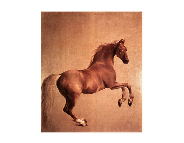 Whistlejacket 1761-62
