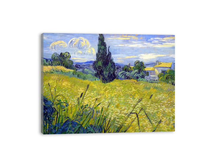 Green Field By Van Gogh  canvas Print