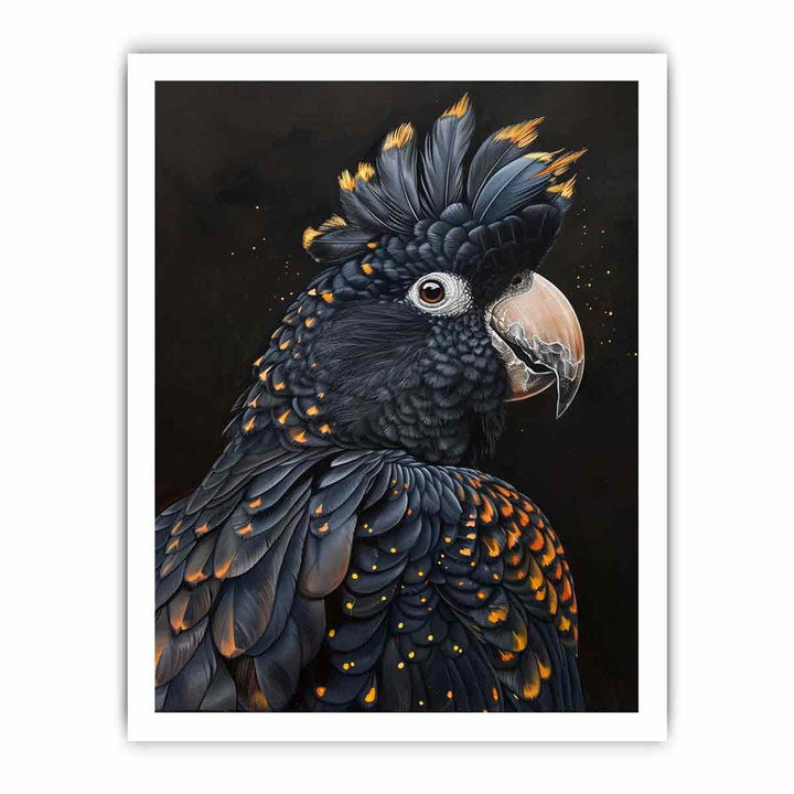 Cockatoo framed Print