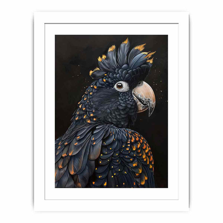 Cockatoo framed Print