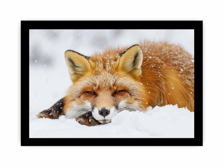 Fox  framed Print