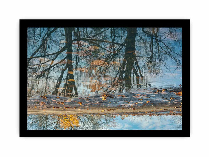 Reflection framed Print