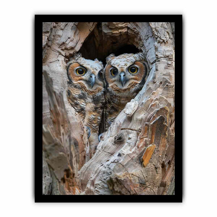 Owlets In Nest Cavity  framed Print