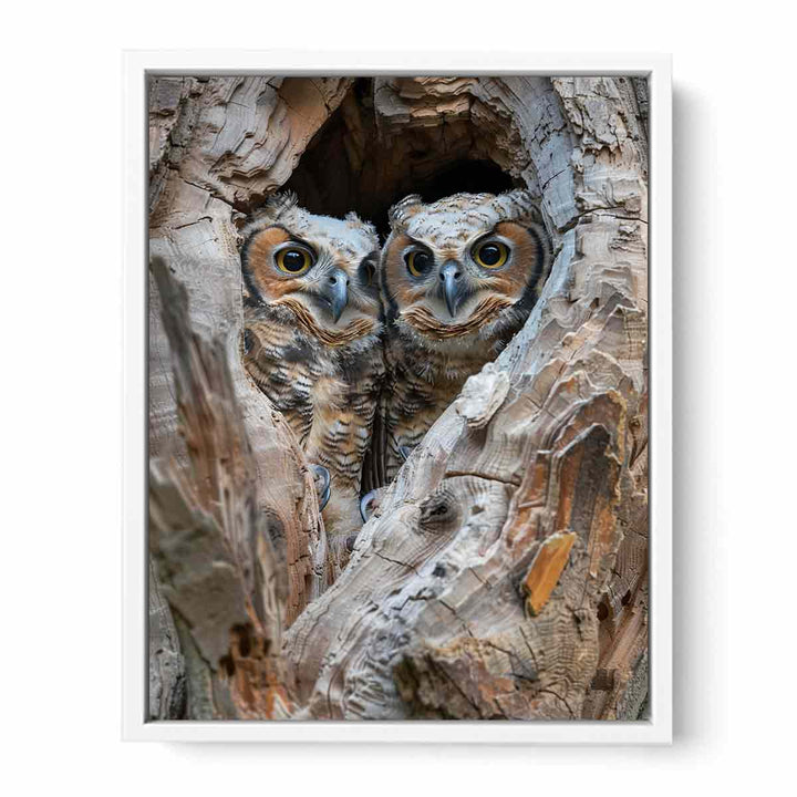 Owlets In Nest Cavity Painting