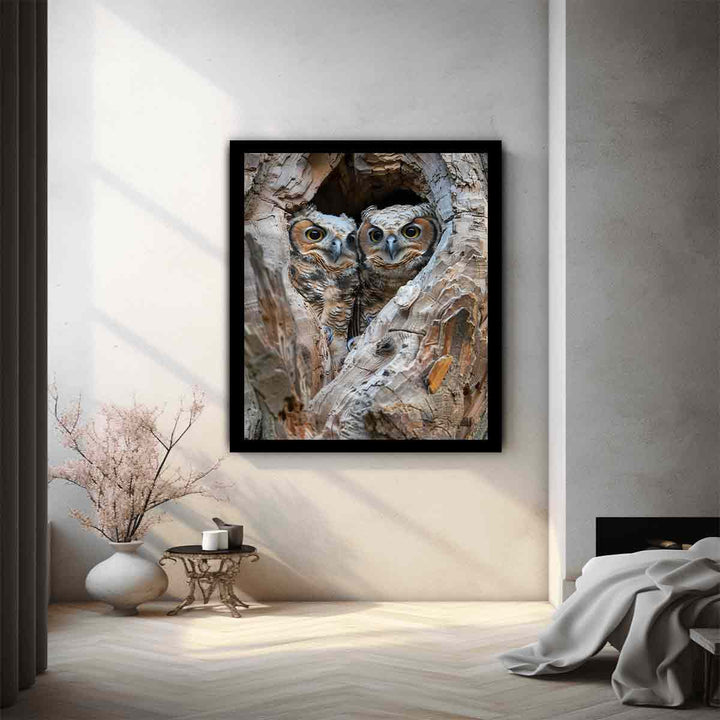 Owlets In Nest Cavity Art Print