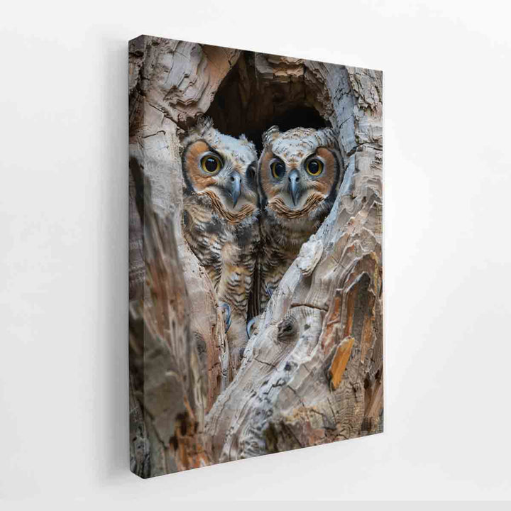 Owlets In Nest Cavity canvas Print