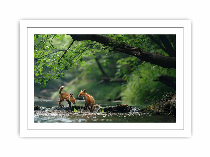 Two Baby Red Foxes framed Print