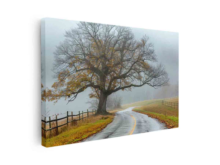 Foggy Road canvas Print