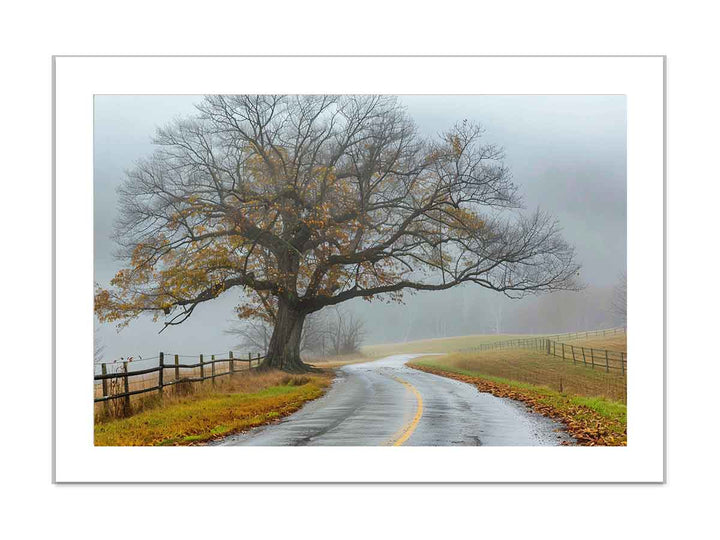 Foggy Road framed Print