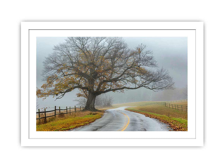 Foggy Road framed Print