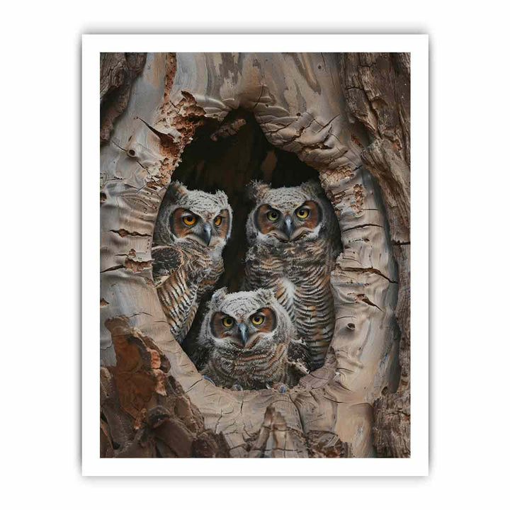 Baby Owls InThe Hollow Tree. framed Print