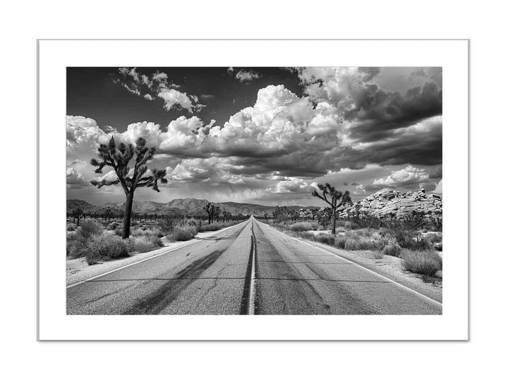 Joshua Tree framed Print