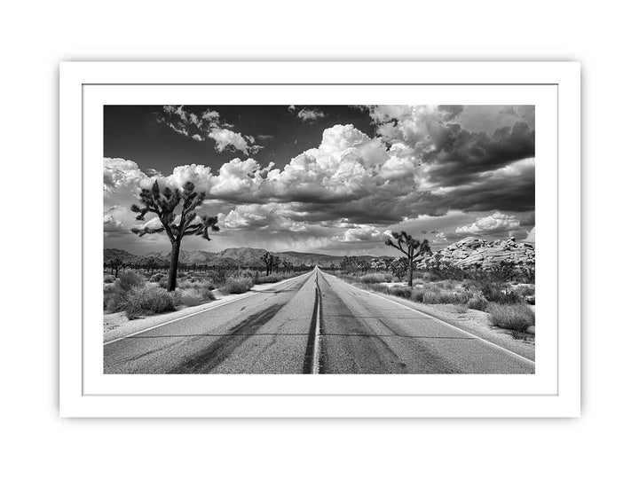 Joshua Tree framed Print