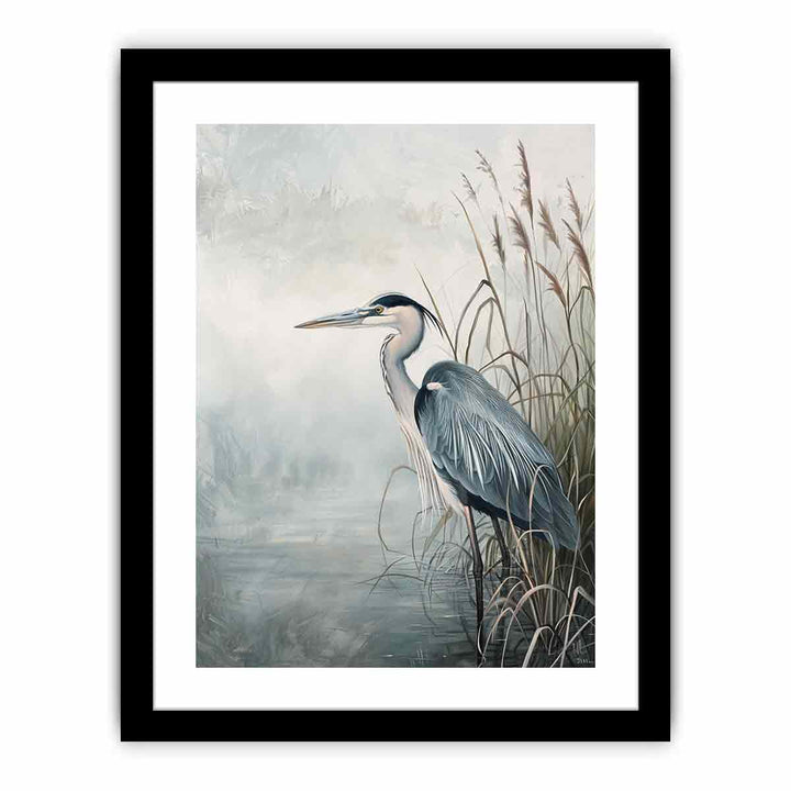 Grey Heron framed Print