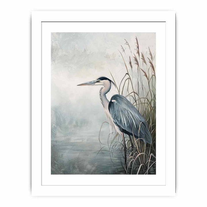 Grey Heron framed Print