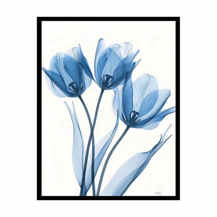 Three Tulips canvas Print