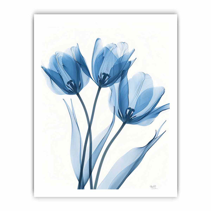 Three Tulips framed Print