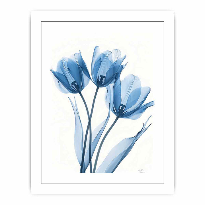 Three Tulips framed Print