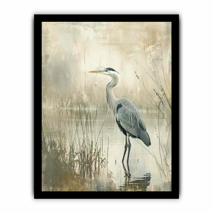 Grey Heron in Water framed Print