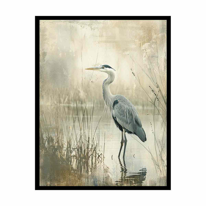 Grey Heron in Water canvas Print