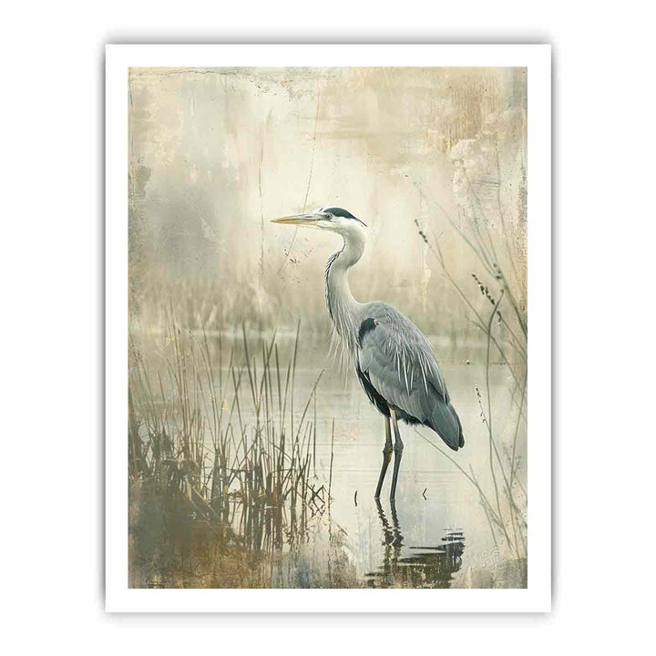 Grey Heron in Water framed Print