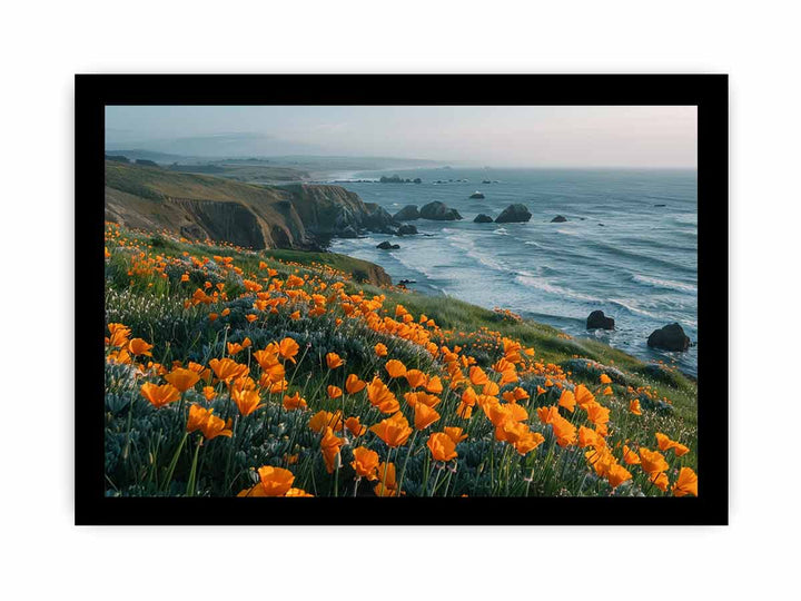 California Poppies Pacific Coast  framed Print