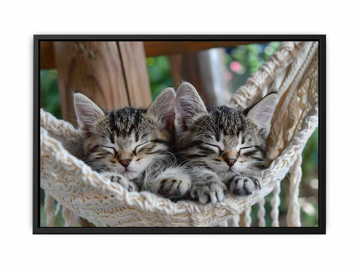 Cute Tabby Kittens canvas Print