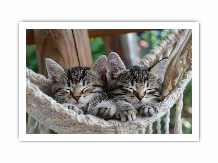 Cute Tabby Kittens framed Print