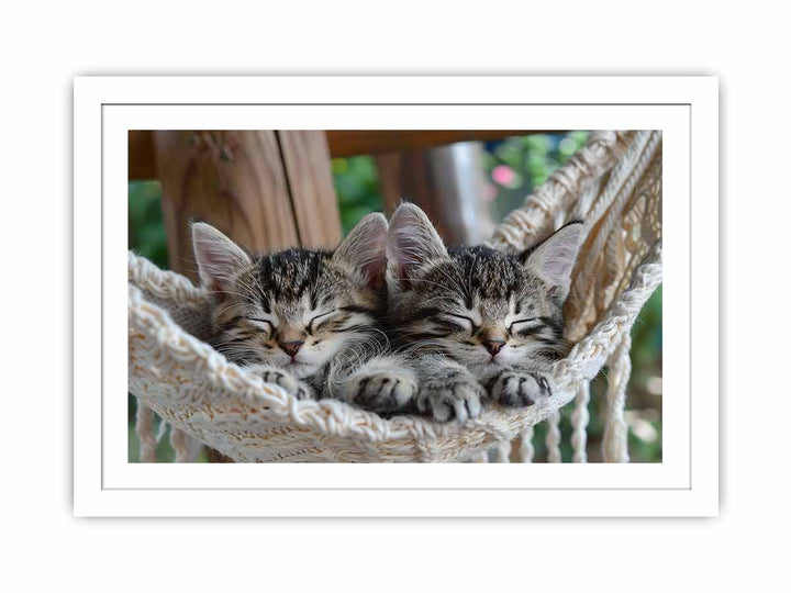 Cute Tabby Kittens framed Print