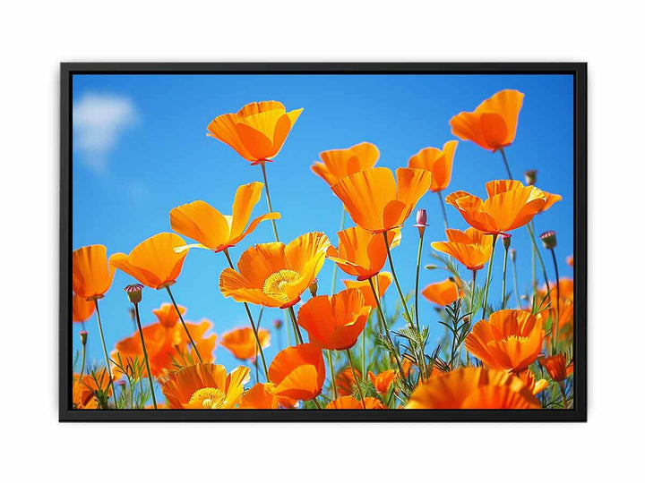 Poppies canvas Print