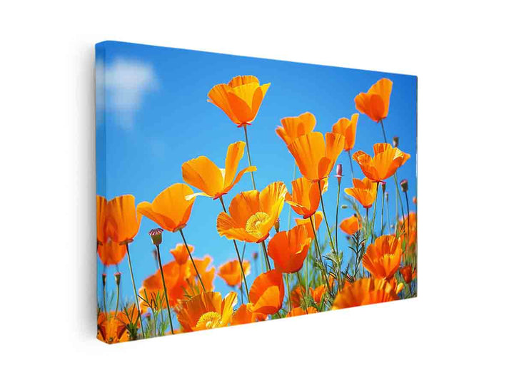 Poppies canvas Print