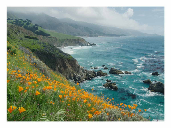 Poppies Along The Pacific Coast Art Print