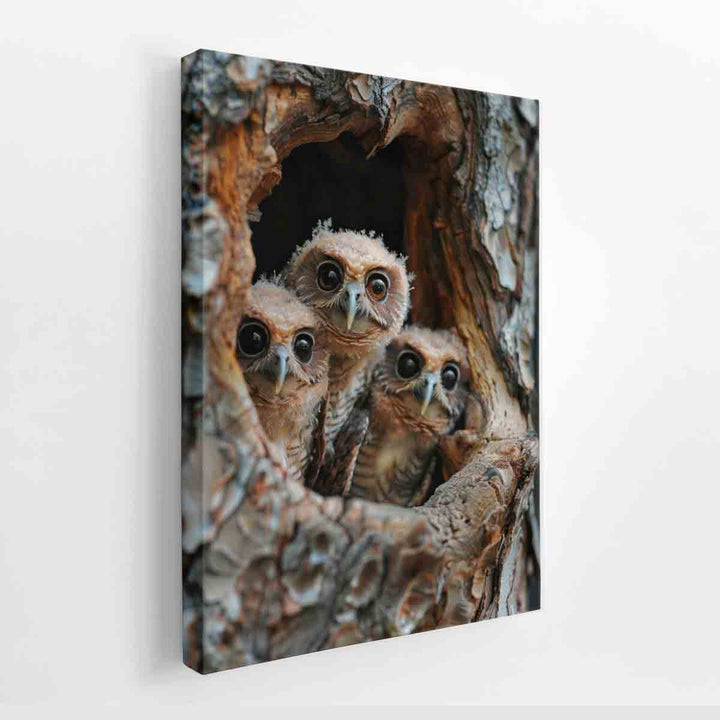 Three Owls canvas Print