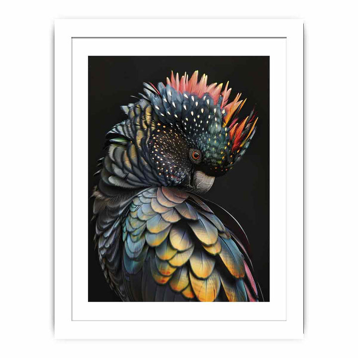 Cockatoo Rainbow framed Print