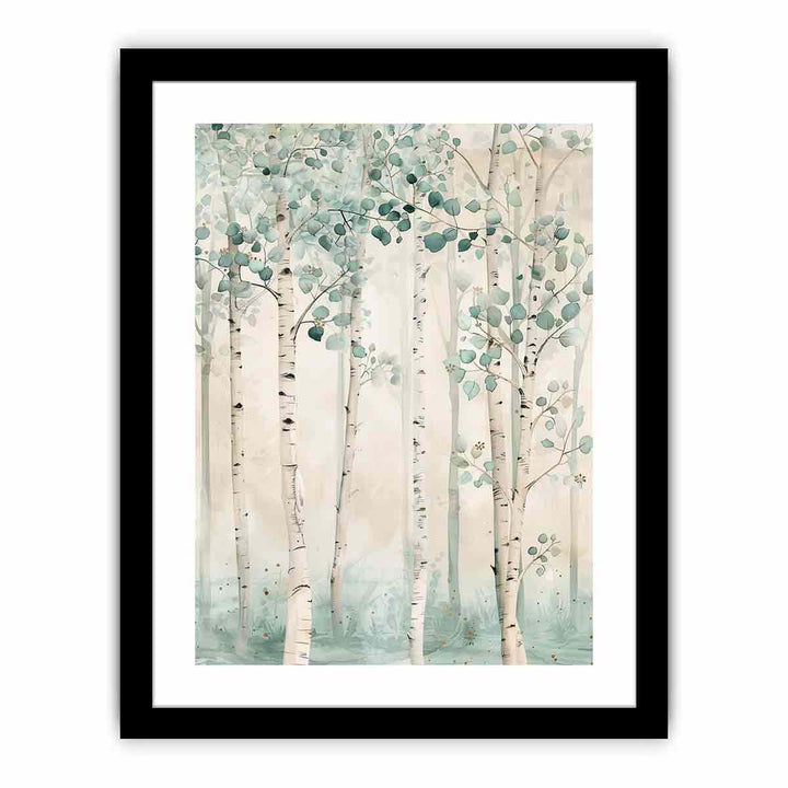 Beautoful Birch Trees framed Print