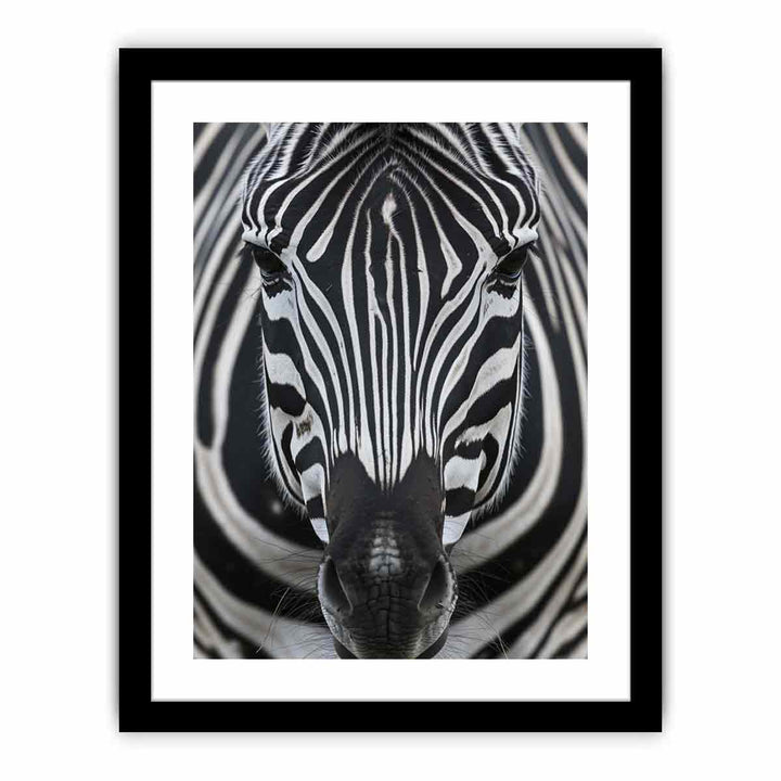  Zebra  Nearby framed Print