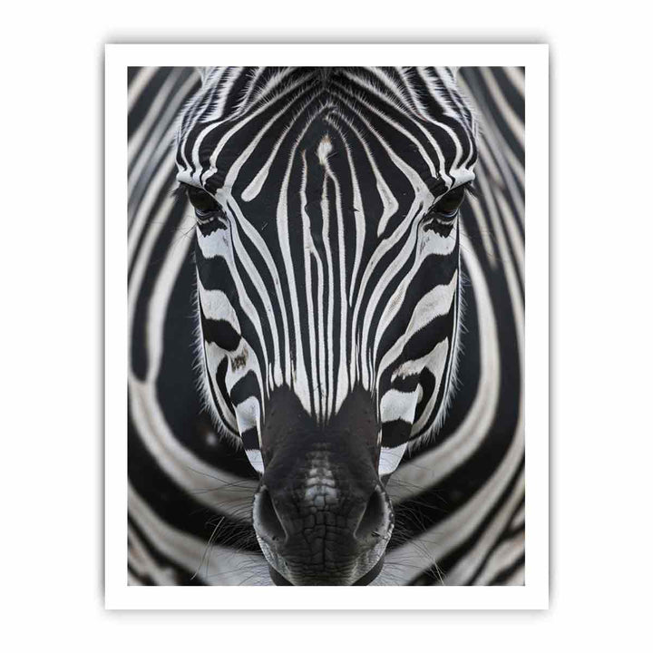  Zebra  Nearby framed Print