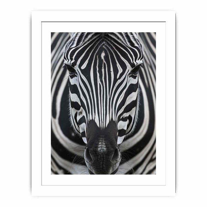  Zebra  Nearby framed Print