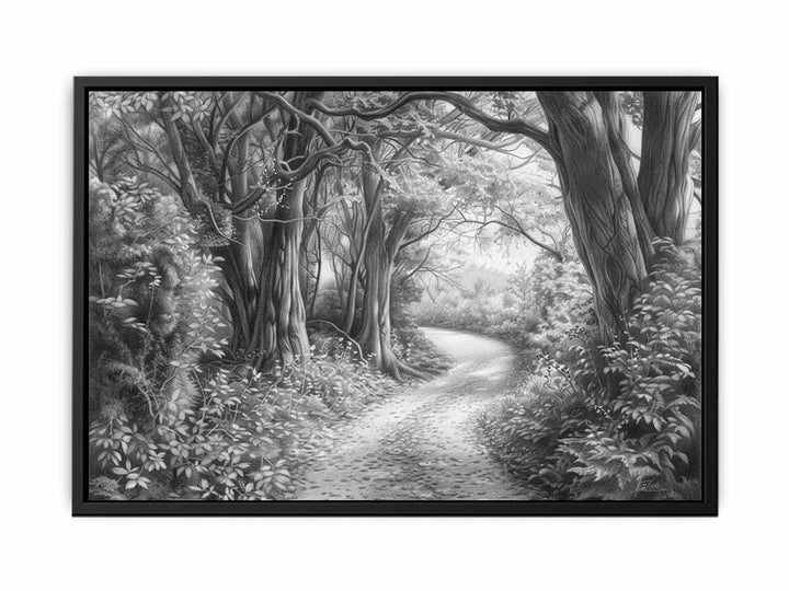 Bush Path Drawing canvas Print