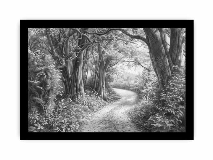 Bush Path Drawing framed Print