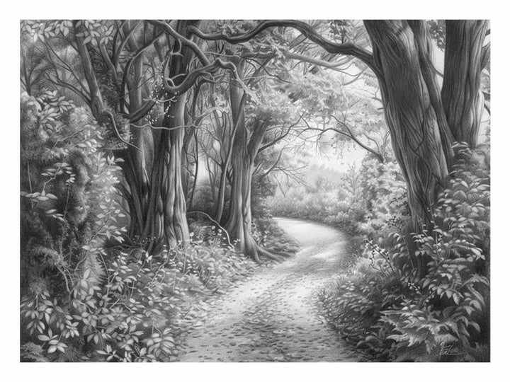 Bush Path Drawing Art Print