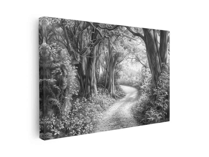 Bush Path Drawing canvas Print