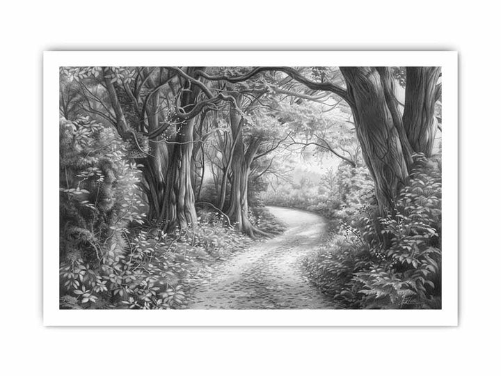 Bush Path Drawing framed Print