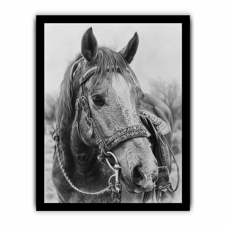 Horse  Drawing framed Print