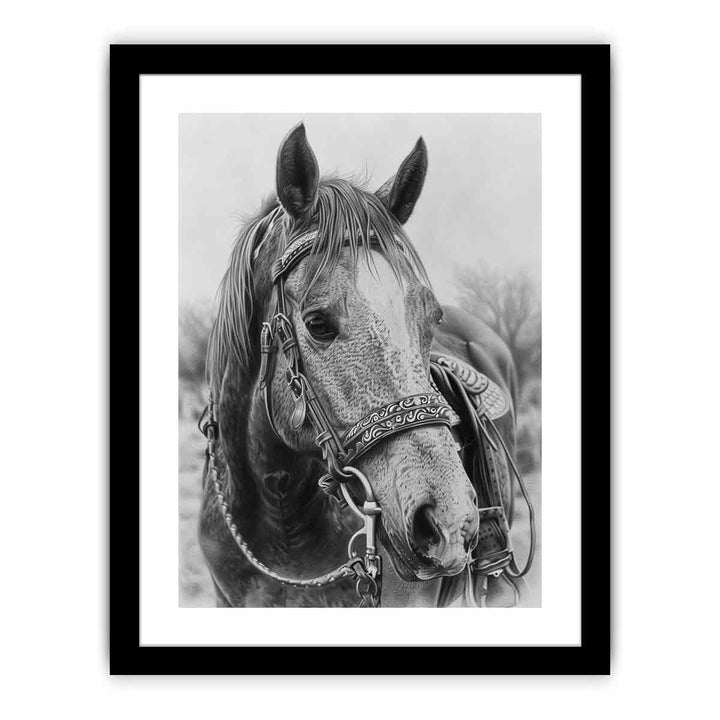 Horse  Drawing framed Print