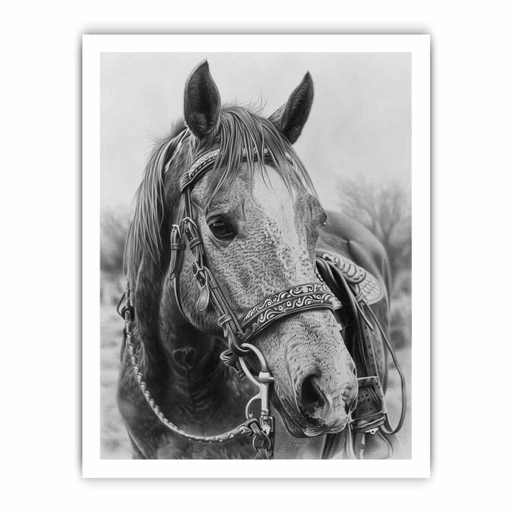 Horse  Drawing framed Print