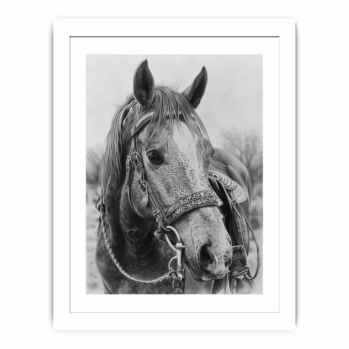 Horse  Drawing framed Print